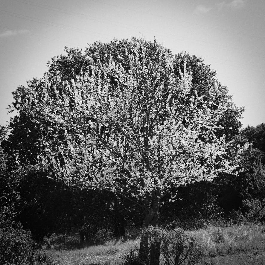 Learning to Need Each Other