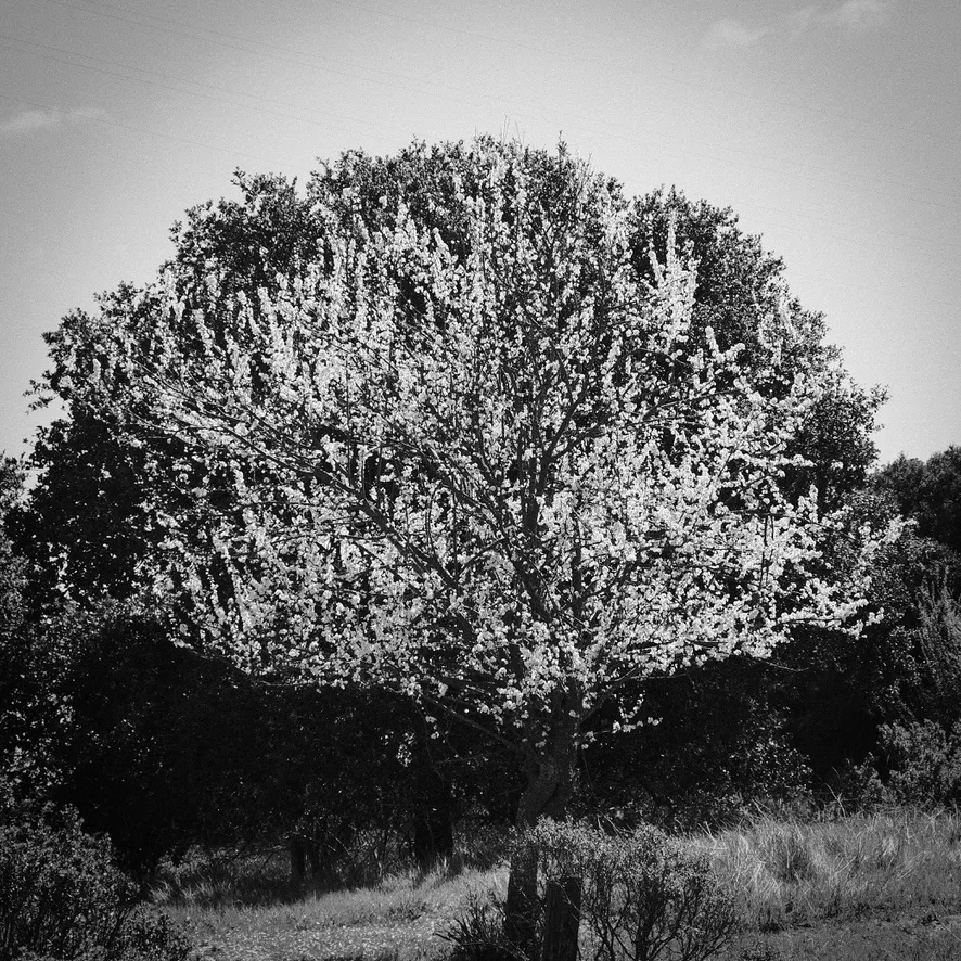 Learning to Need Each Other